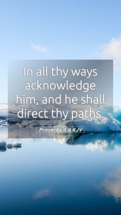 Picture 05 - Proverbs 3:6 KJV Mobile Phone Wallpaper - In all thy ways acknowledge him, and he shall - Mobile Bible Verse Wallpaper