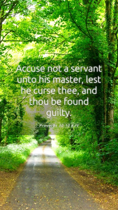 Picture 05 - Proverbs 30:10 KJV Mobile Phone Wallpaper - Accuse not a servant unto his master, lest he - Mobile Bible Verse Wallpaper