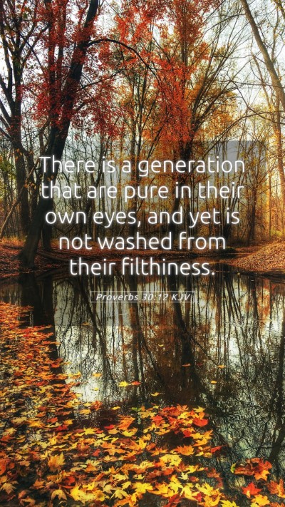 Picture 05 - Proverbs 30:12 KJV Mobile Phone Wallpaper - There is a generation that are pure in their own - Mobile Bible Verse Wallpaper