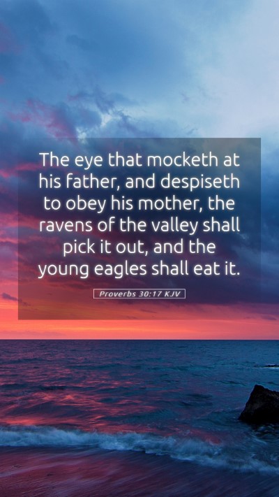 Picture 05 - Proverbs 30:17 KJV Mobile Phone Wallpaper - The eye that mocketh at his father, and despiseth - Mobile Bible Verse Wallpaper