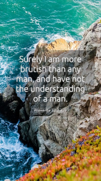 Picture 05 - Proverbs 30:2 KJV Mobile Phone Wallpaper - Surely I am more brutish than any man, and have - Mobile Bible Verse Wallpaper