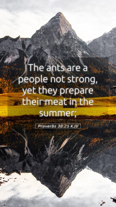 Picture 05 - Proverbs 30:25 KJV Mobile Phone Wallpaper - The ants are a people not strong, yet they - Mobile Bible Verse Wallpaper