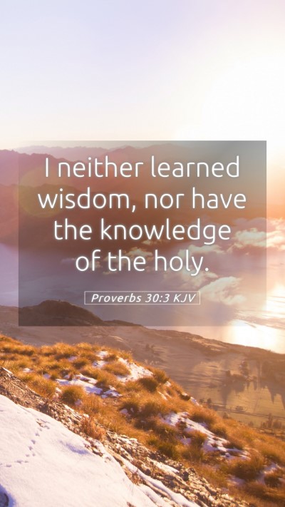 Picture 05 - Proverbs 30:3 KJV Mobile Phone Wallpaper - I neither learned wisdom, nor have the knowledge - Mobile Bible Verse Wallpaper