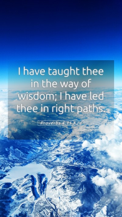 Picture 05 - Proverbs 4:11 KJV Mobile Phone Wallpaper - I have taught thee in the way of wisdom; I have - Mobile Bible Verse Wallpaper