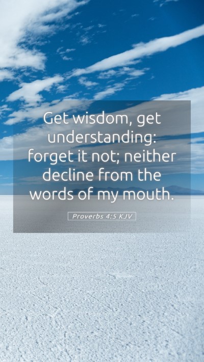 Picture 05 - Proverbs 4:5 KJV Mobile Phone Wallpaper - Get wisdom, get understanding: forget it not; - Mobile Bible Verse Wallpaper
