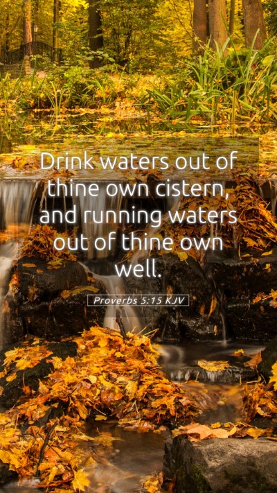 Picture 05 - Proverbs 5:15 KJV Mobile Phone Wallpaper - Drink waters out of thine own cistern, and - Mobile Bible Verse Wallpaper