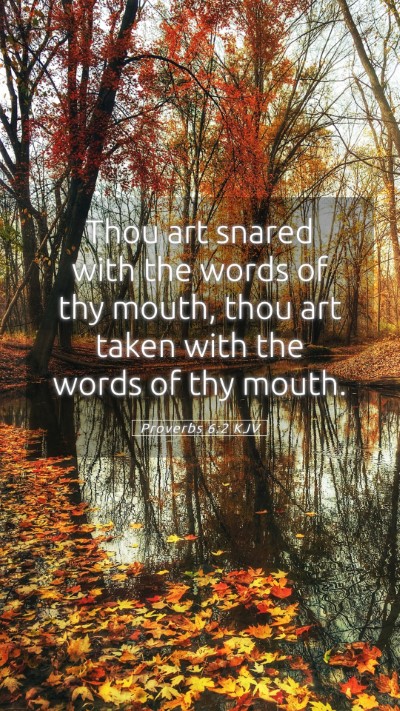 Picture 05 - Proverbs 6:2 KJV Mobile Phone Wallpaper - Thou art snared with the words of thy mouth, thou - Mobile Bible Verse Wallpaper