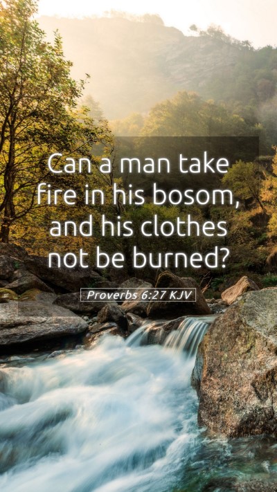 Picture 05 - Proverbs 6:27 KJV Mobile Phone Wallpaper - Can a man take fire in his bosom, and his clothes - Mobile Bible Verse Wallpaper