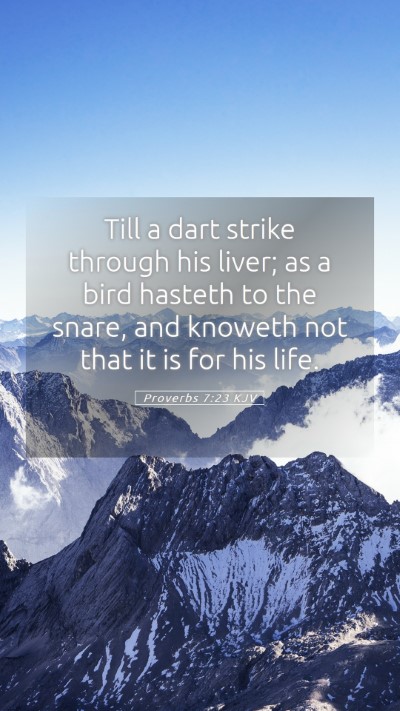 Picture 05 - Proverbs 7:23 KJV Mobile Phone Wallpaper - Till a dart strike through his liver; as a bird - Mobile Bible Verse Wallpaper