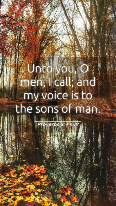 Picture 05 - Proverbs 8:4 KJV Mobile Phone Wallpaper - Unto you, O men, I call; and my voice is to the - Mobile Bible Verse Wallpaper