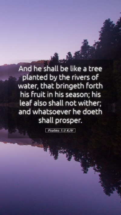 Picture 05 - Psalms 1:3 KJV Mobile Phone Wallpaper - And he shall be like a tree planted by the rivers - Mobile Bible Verse Wallpaper
