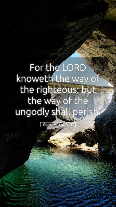 Picture 05 - Psalms 1:6 KJV Mobile Phone Wallpaper - For the LORD knoweth the way of the righteous: - Mobile Bible Verse Wallpaper