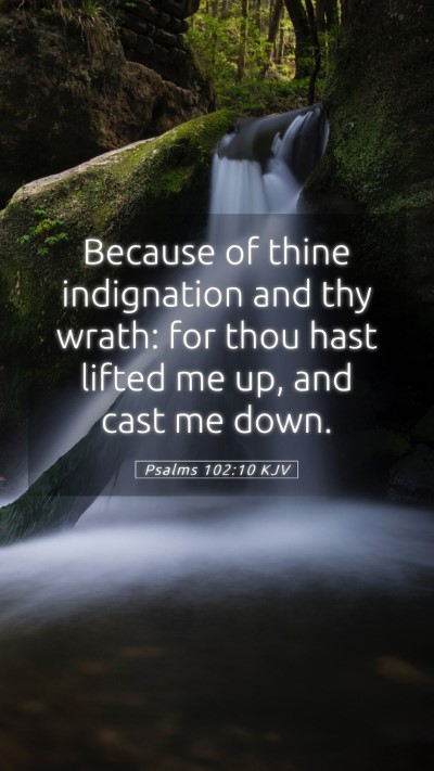 Picture 05 - Psalms 102:10 KJV Mobile Phone Wallpaper - Because of thine indignation and thy wrath: for - Mobile Bible Verse Wallpaper
