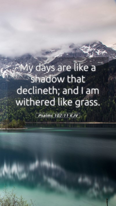 Picture 05 - Psalms 102:11 KJV Mobile Phone Wallpaper - My days are like a shadow that declineth; and I - Mobile Bible Verse Wallpaper