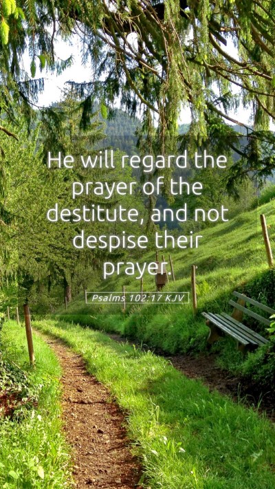 Picture 05 - Psalms 102:17 KJV Mobile Phone Wallpaper - He will regard the prayer of the destitute, and - Mobile Bible Verse Wallpaper