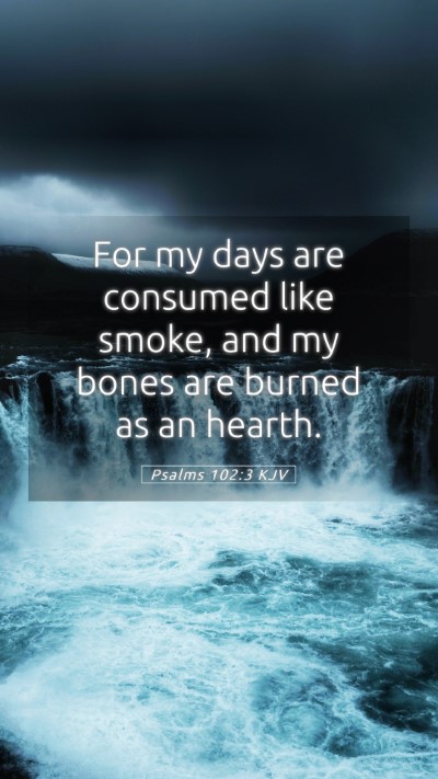 Picture 05 - Psalms 102:3 KJV Mobile Phone Wallpaper - For my days are consumed like smoke, and my bones - Mobile Bible Verse Wallpaper
