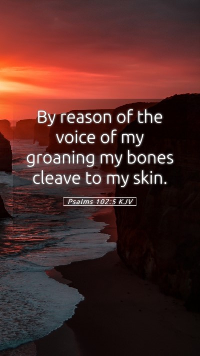 Picture 05 - Psalms 102:5 KJV Mobile Phone Wallpaper - By reason of the voice of my groaning my bones - Mobile Bible Verse Wallpaper