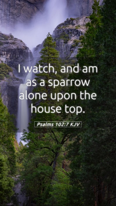 Picture 05 - Psalms 102:7 KJV Mobile Phone Wallpaper - I watch, and am as a sparrow alone upon the house - Mobile Bible Verse Wallpaper