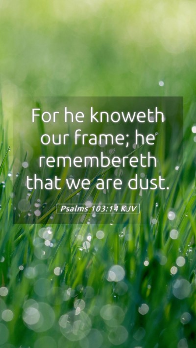 Picture 05 - Psalms 103:14 KJV Mobile Phone Wallpaper - For he knoweth our frame; he remembereth that we - Mobile Bible Verse Wallpaper