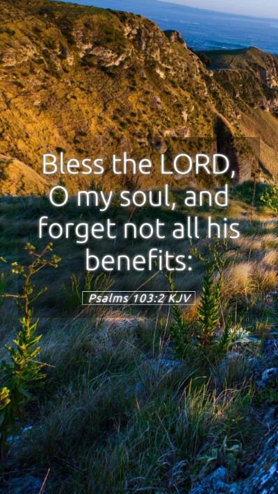 Picture 05 - Psalms 103:2 KJV Mobile Phone Wallpaper - Bless the LORD, O my soul, and forget not all his - Mobile Bible Verse Wallpaper