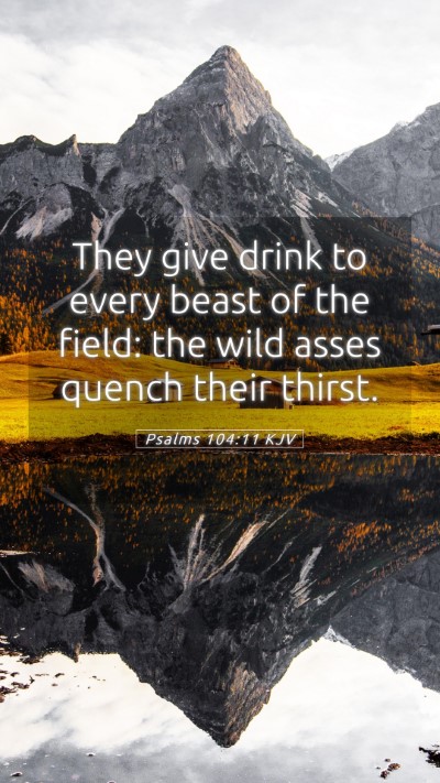 Picture 05 - Psalms 104:11 KJV Mobile Phone Wallpaper - They give drink to every beast of the field: the - Mobile Bible Verse Wallpaper