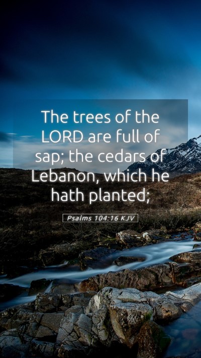 Picture 05 - Psalms 104:16 KJV Mobile Phone Wallpaper - The trees of the LORD are full of sap; the cedars - Mobile Bible Verse Wallpaper