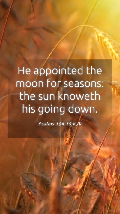 Picture 05 - Psalms 104:19 KJV Mobile Phone Wallpaper - He appointed the moon for seasons: the sun - Mobile Bible Verse Wallpaper