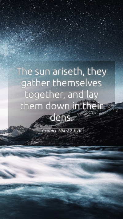 Picture 05 - Psalms 104:22 KJV Mobile Phone Wallpaper - The sun ariseth, they gather themselves together, - Mobile Bible Verse Wallpaper