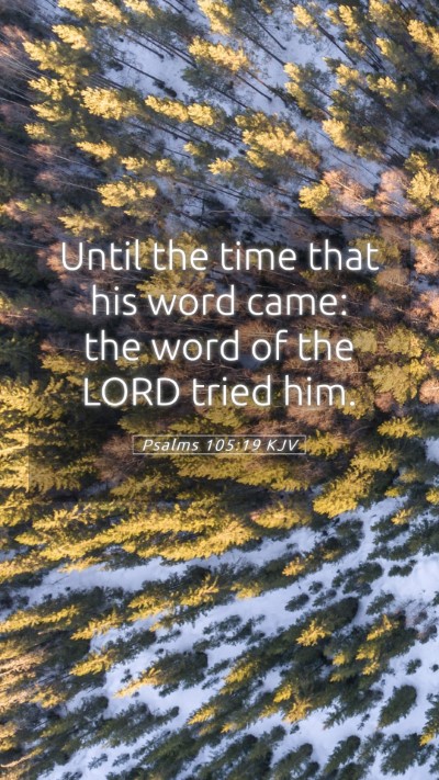 Picture 05 - Psalms 105:19 KJV Mobile Phone Wallpaper - Until the time that his word came: the word of - Mobile Bible Verse Wallpaper