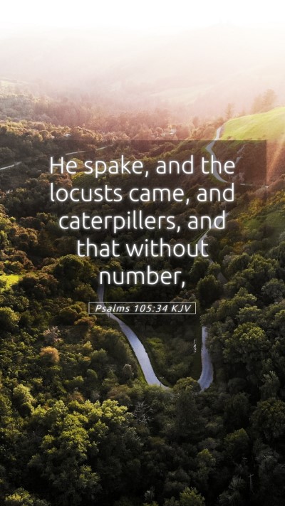 Picture 05 - Psalms 105:34 KJV Mobile Phone Wallpaper - He spake, and the locusts came, and caterpillers, - Mobile Bible Verse Wallpaper