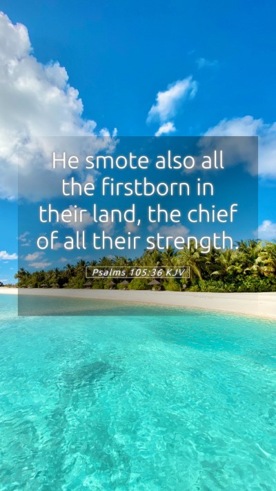 Picture 05 - Psalms 105:36 KJV Mobile Phone Wallpaper - He smote also all the firstborn in their land, - Mobile Bible Verse Wallpaper
