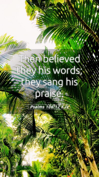 Picture 05 - Psalms 106:12 KJV Mobile Phone Wallpaper - Then believed they his words; they sang his - Mobile Bible Verse Wallpaper