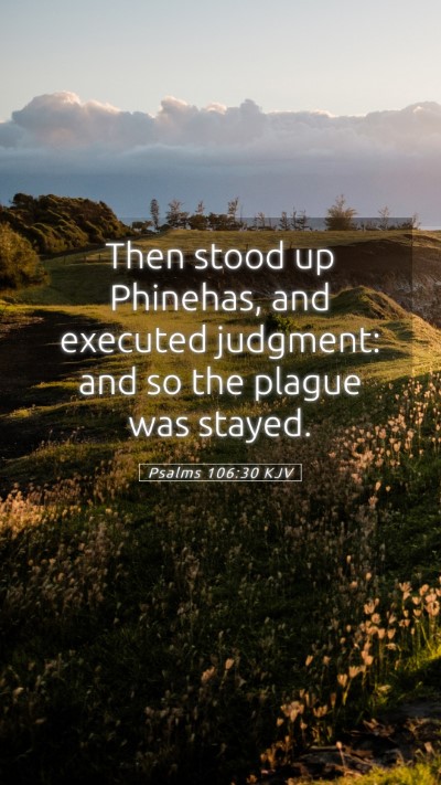 Picture 05 - Psalms 106:30 KJV Mobile Phone Wallpaper - Then stood up Phinehas, and executed judgment: - Mobile Bible Verse Wallpaper