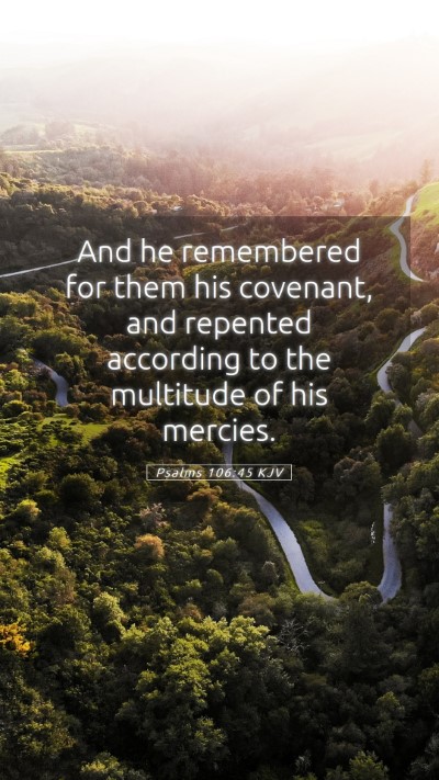 Picture 05 - Psalms 106:45 KJV Mobile Phone Wallpaper - And he remembered for them his covenant, and - Mobile Bible Verse Wallpaper