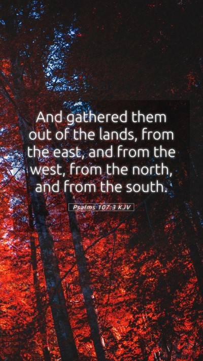 Picture 05 - Psalms 107:3 KJV Mobile Phone Wallpaper - And gathered them out of the lands, from the - Mobile Bible Verse Wallpaper