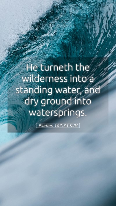 Picture 05 - Psalms 107:35 KJV Mobile Phone Wallpaper - He turneth the wilderness into a standing water, - Mobile Bible Verse Wallpaper