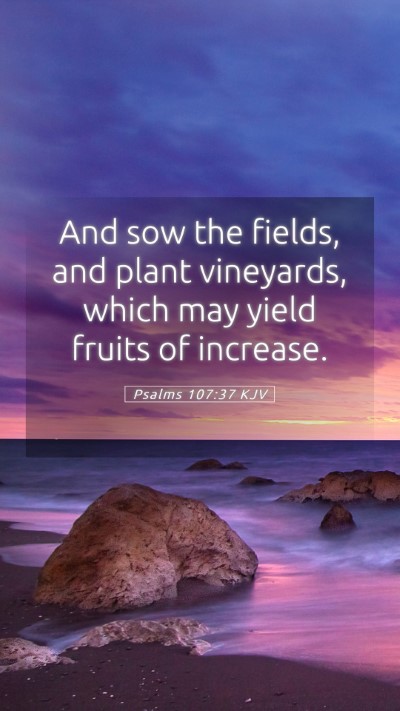 Picture 05 - Psalms 107:37 KJV Mobile Phone Wallpaper - And sow the fields, and plant vineyards, which - Mobile Bible Verse Wallpaper
