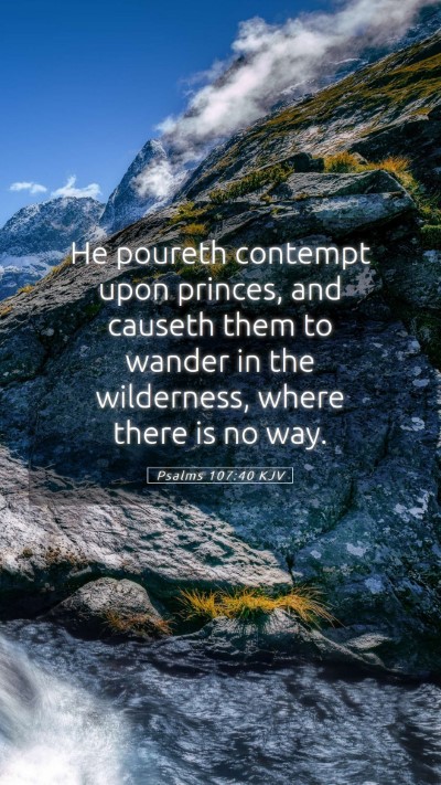 Picture 05 - Psalms 107:40 KJV Mobile Phone Wallpaper - He poureth contempt upon princes, and causeth - Mobile Bible Verse Wallpaper