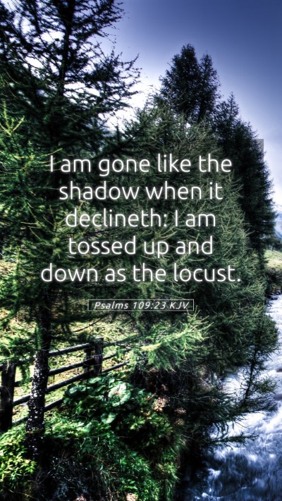 Picture 05 - Psalms 109:23 KJV Mobile Phone Wallpaper - I am gone like the shadow when it declineth: I am - Mobile Bible Verse Wallpaper