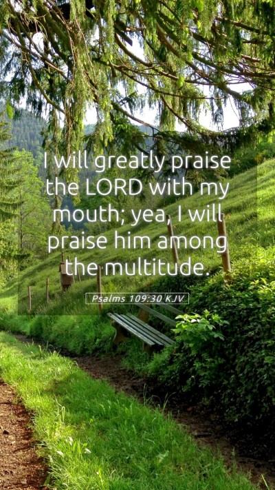 Picture 05 - Psalms 109:30 KJV Mobile Phone Wallpaper - I will greatly praise the LORD with my mouth; - Mobile Bible Verse Wallpaper