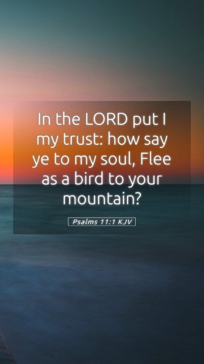 Picture 05 - Psalms 11:1 KJV Mobile Phone Wallpaper - In the LORD put I my trust: how say ye to my - Mobile Bible Verse Wallpaper