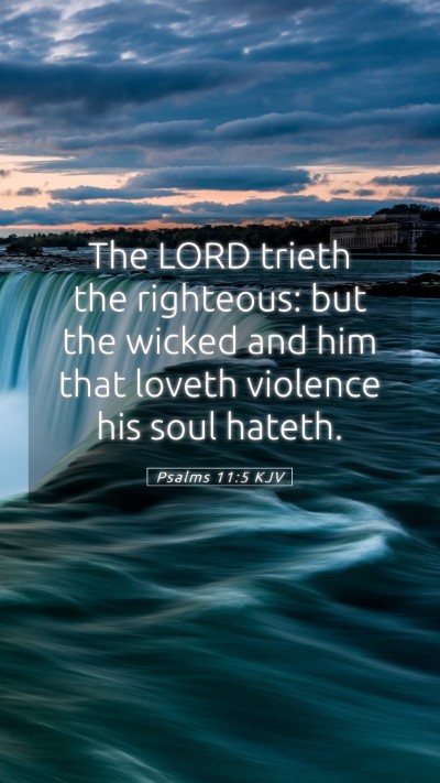 Picture 05 - Psalms 11:5 KJV Mobile Phone Wallpaper - The LORD trieth the righteous: but the wicked and - Mobile Bible Verse Wallpaper