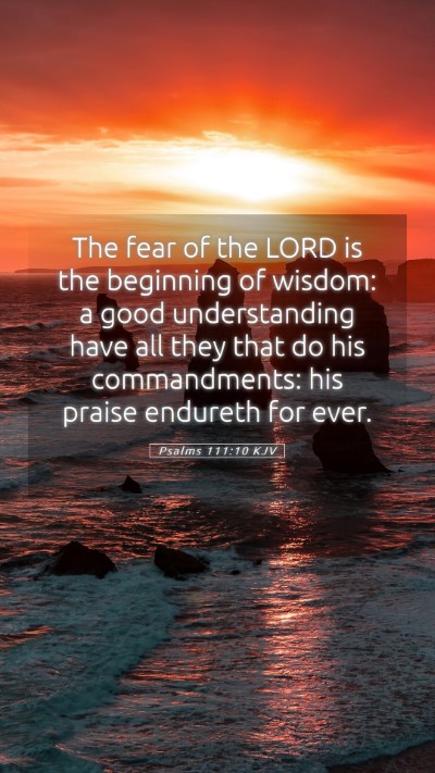 Picture 05 - Psalms 111:10 KJV Mobile Phone Wallpaper - The fear of the LORD is the beginning of wisdom: - Mobile Bible Verse Wallpaper