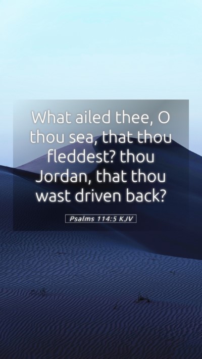 Picture 05 - Psalms 114:5 KJV Mobile Phone Wallpaper - What ailed thee, O thou sea, that thou fleddest? - Mobile Bible Verse Wallpaper