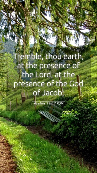 Picture 05 - Psalms 114:7 KJV Mobile Phone Wallpaper - Tremble, thou earth, at the presence of the Lord, - Mobile Bible Verse Wallpaper