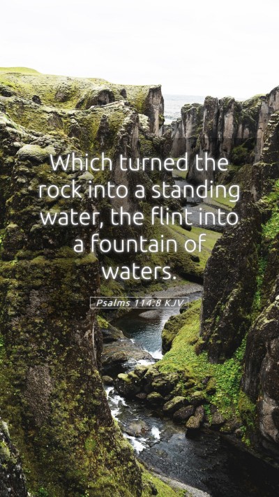 Picture 05 - Psalms 114:8 KJV Mobile Phone Wallpaper - Which turned the rock into a standing water, the - Mobile Bible Verse Wallpaper