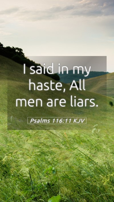 Picture 05 - Psalms 116:11 KJV Mobile Phone Wallpaper - I said in my haste, All men are - Mobile Bible Verse Wallpaper