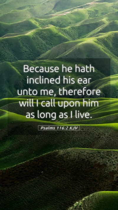 Picture 05 - Psalms 116:2 KJV Mobile Phone Wallpaper - Because he hath inclined his ear unto me, - Mobile Bible Verse Wallpaper