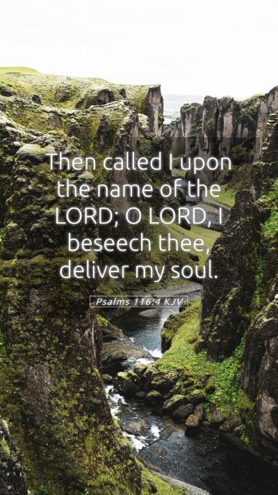 Picture 05 - Psalms 116:4 KJV Mobile Phone Wallpaper - Then called I upon the name of the LORD; O LORD, - Mobile Bible Verse Wallpaper