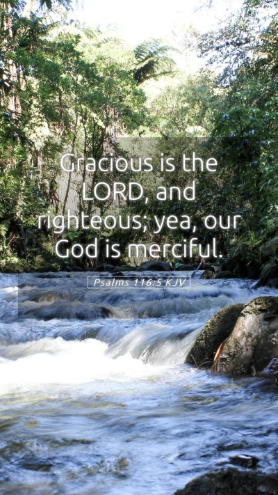 Picture 05 - Psalms 116:5 KJV Mobile Phone Wallpaper - Gracious is the LORD, and righteous; yea, our God - Mobile Bible Verse Wallpaper